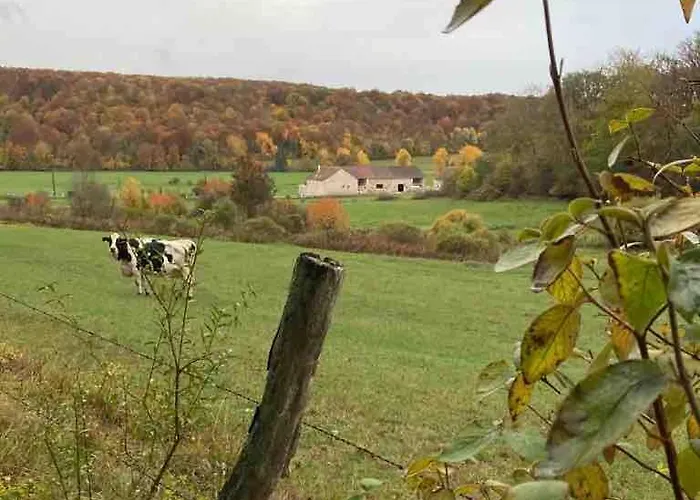 Du Pavillon 4 Pers Wi-fi Haute Marne Arc-en-Barrois