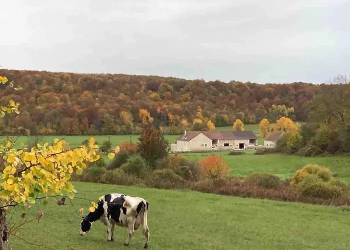 Σπίτι διακοπών Du Pavillon 4 Pers Wi-fi Haute Marne