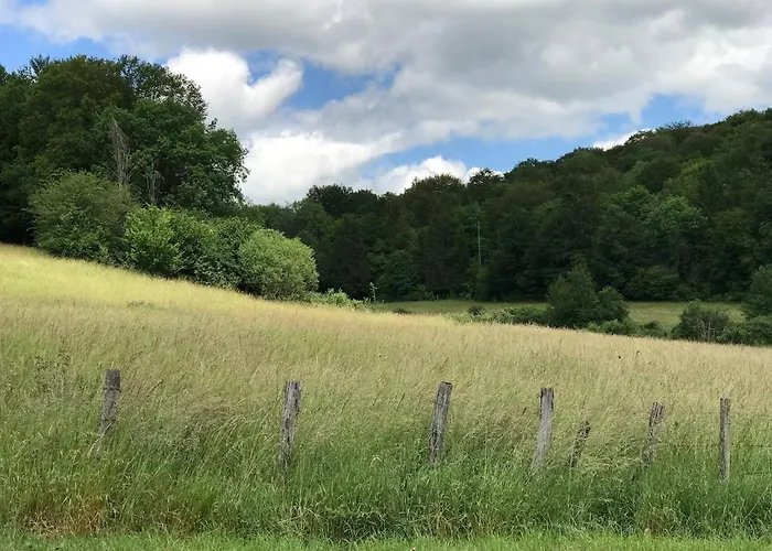 Σπίτι διακοπών Du Pavillon 4 Pers Wi-fi Haute Marne